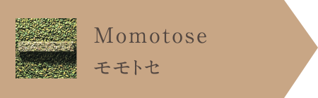 モモトセ